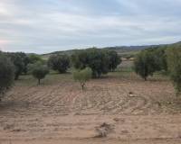 Wederverkoop - Land - Jumilla