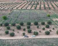 Wederverkoop - Land - Jumilla