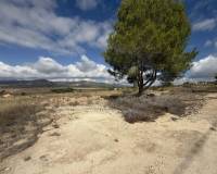 Wederverkoop - Land -  - Monovar