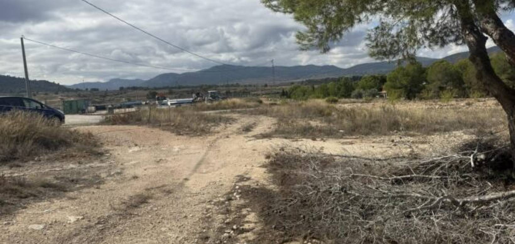 Wederverkoop - Land -  - Monovar