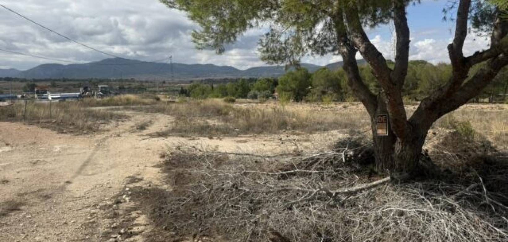 Wederverkoop - Land -  - Monovar