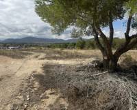 Wederverkoop - Land -  - Monovar