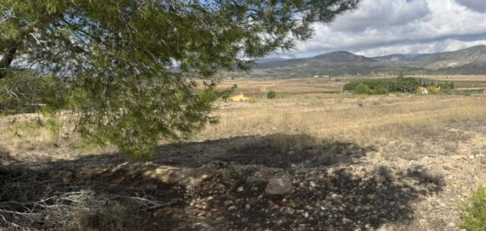 Wederverkoop - Land -  - Monovar