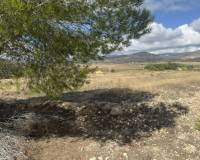 Wederverkoop - Land -  - Monovar