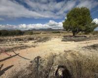 Wederverkoop - Land -  - Monovar