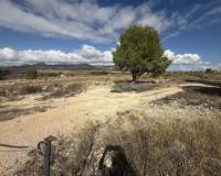 Wederverkoop - Land -  - Monovar