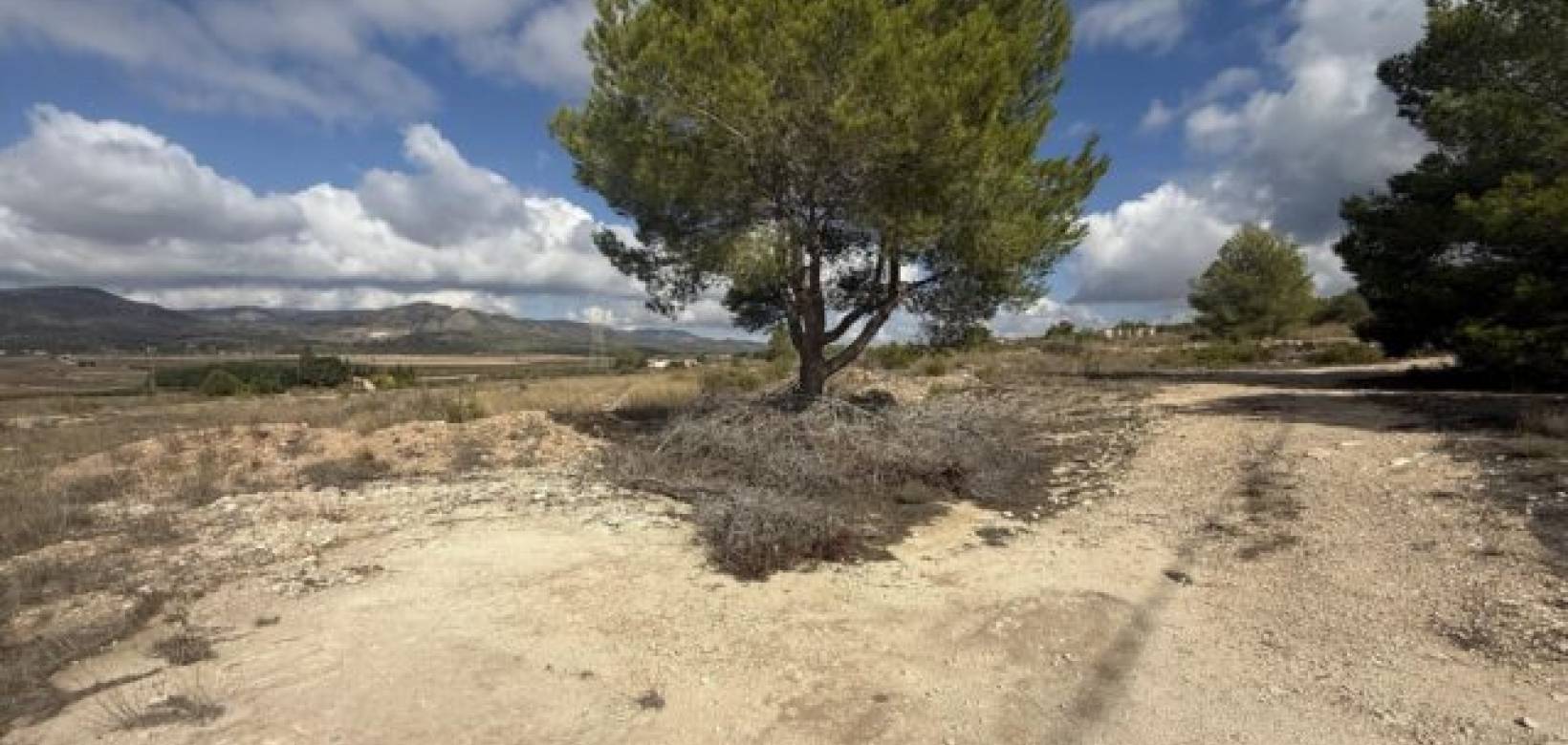 Wederverkoop - Land -  - Monovar