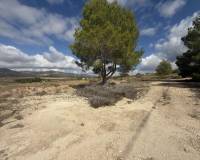 Wederverkoop - Land -  - Monovar