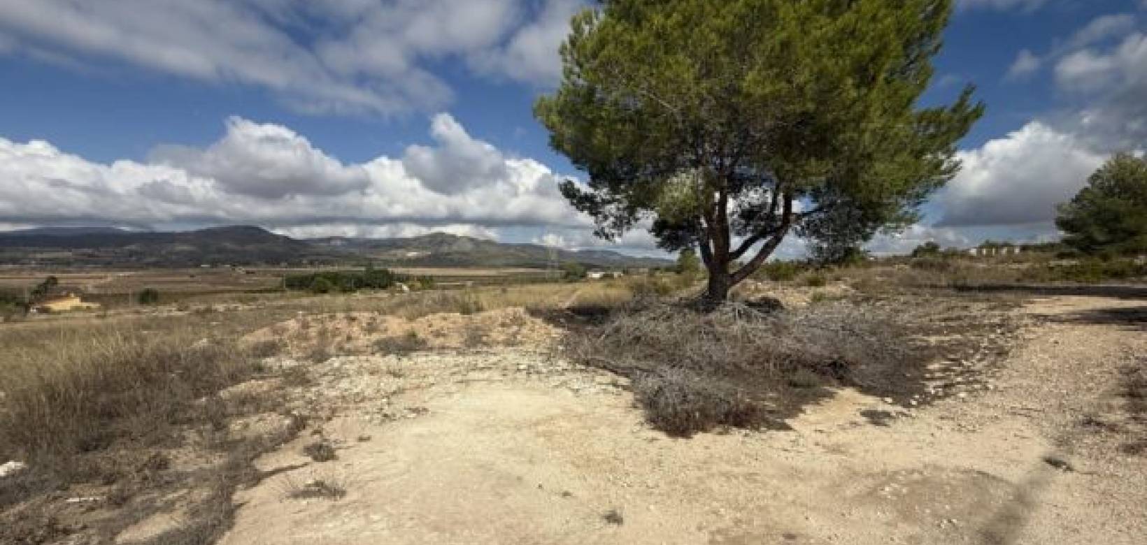 Wederverkoop - Land -  - Monovar