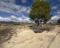 Wederverkoop - Land -  - Monovar