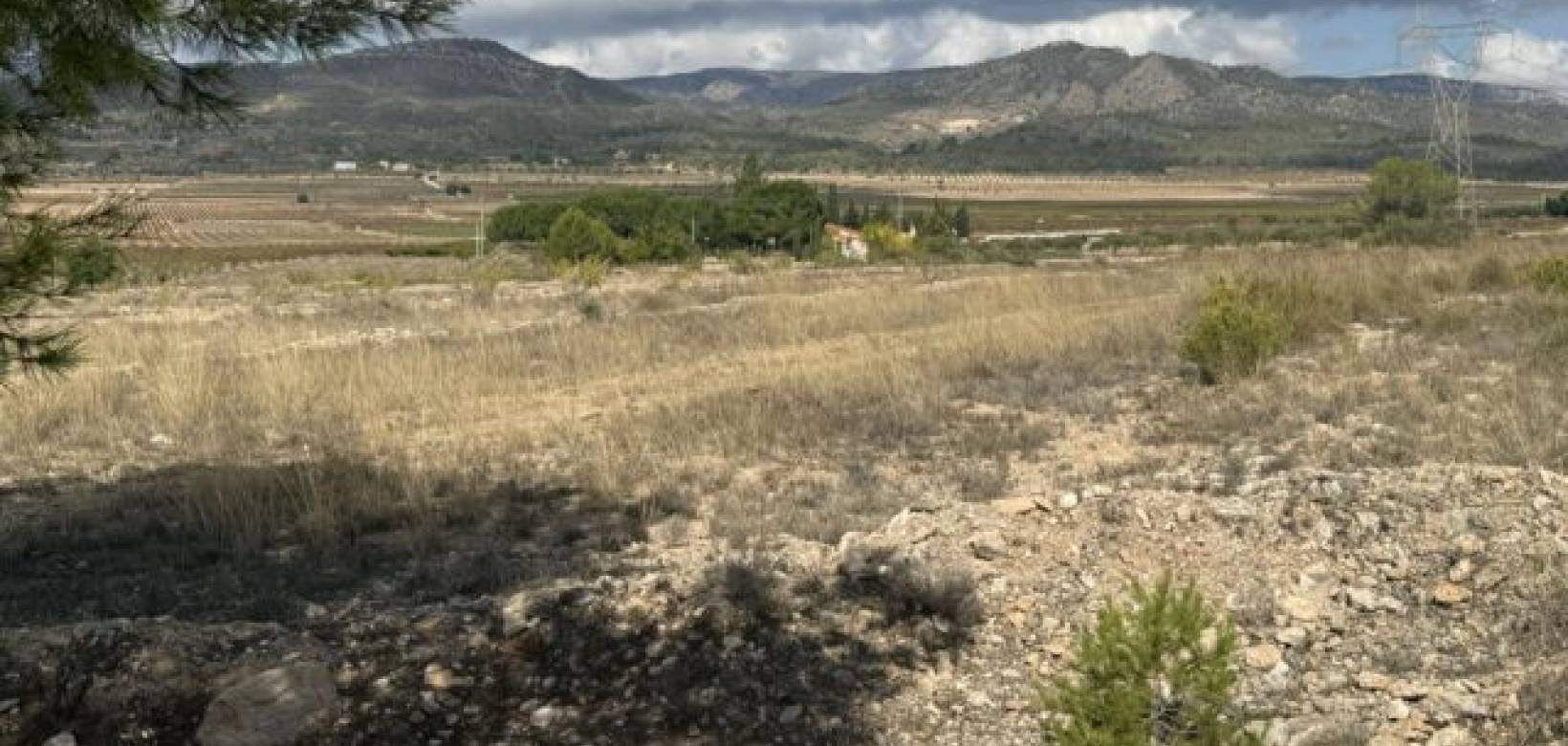 Wederverkoop - Land -  - Monovar