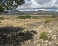 Wederverkoop - Land -  - Monovar