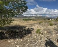 Wederverkoop - Land -  - Monovar