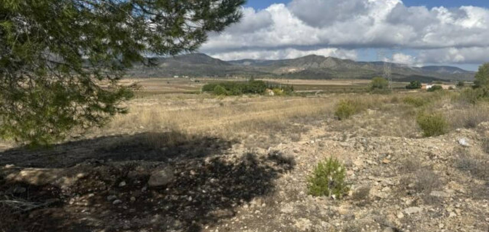 Wederverkoop - Land -  - Monovar