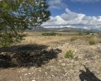 Wederverkoop - Land -  - Monovar