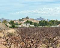 Wederverkoop - Land -  - Monovar