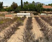 Wederverkoop - Land -  - Monovar