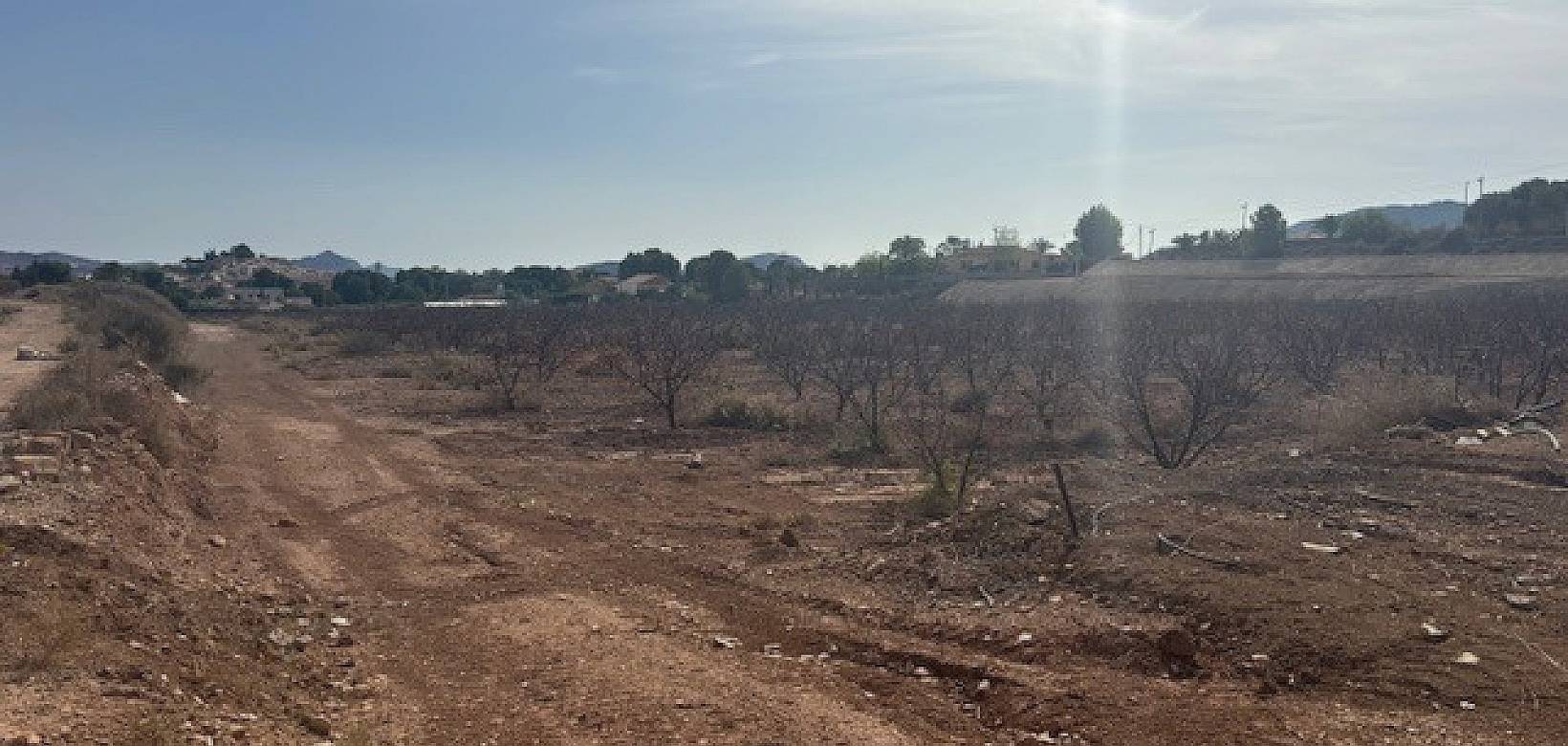 Wederverkoop - Land -  - Monovar