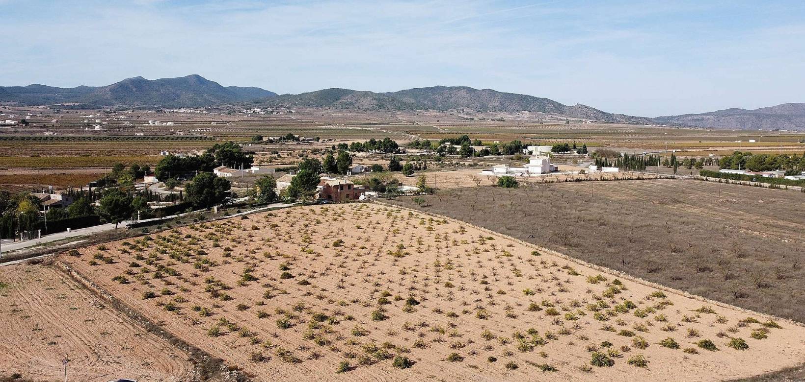 Wederverkoop - Land - Pinoso - 