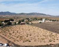 Wederverkoop - Land - Pinoso - 