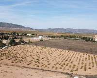 Wederverkoop - Land - Pinoso - 