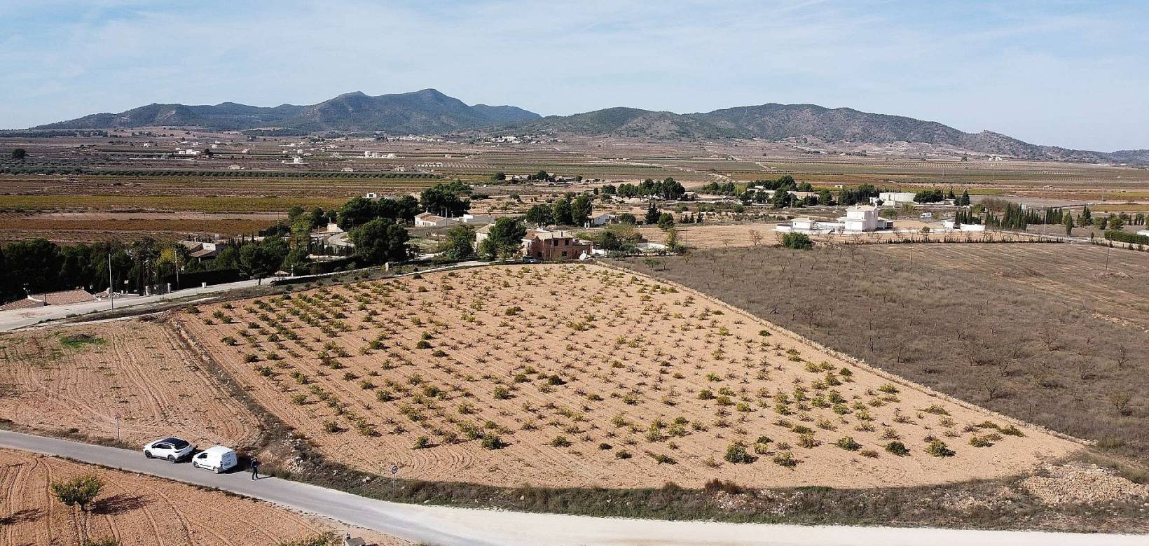 Wederverkoop - Land - Pinoso - 