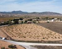 Wederverkoop - Land - Pinoso - 