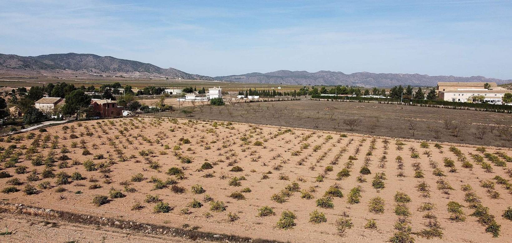 Wederverkoop - Land - Pinoso - 