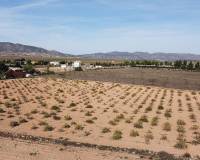 Wederverkoop - Land - Pinoso - 