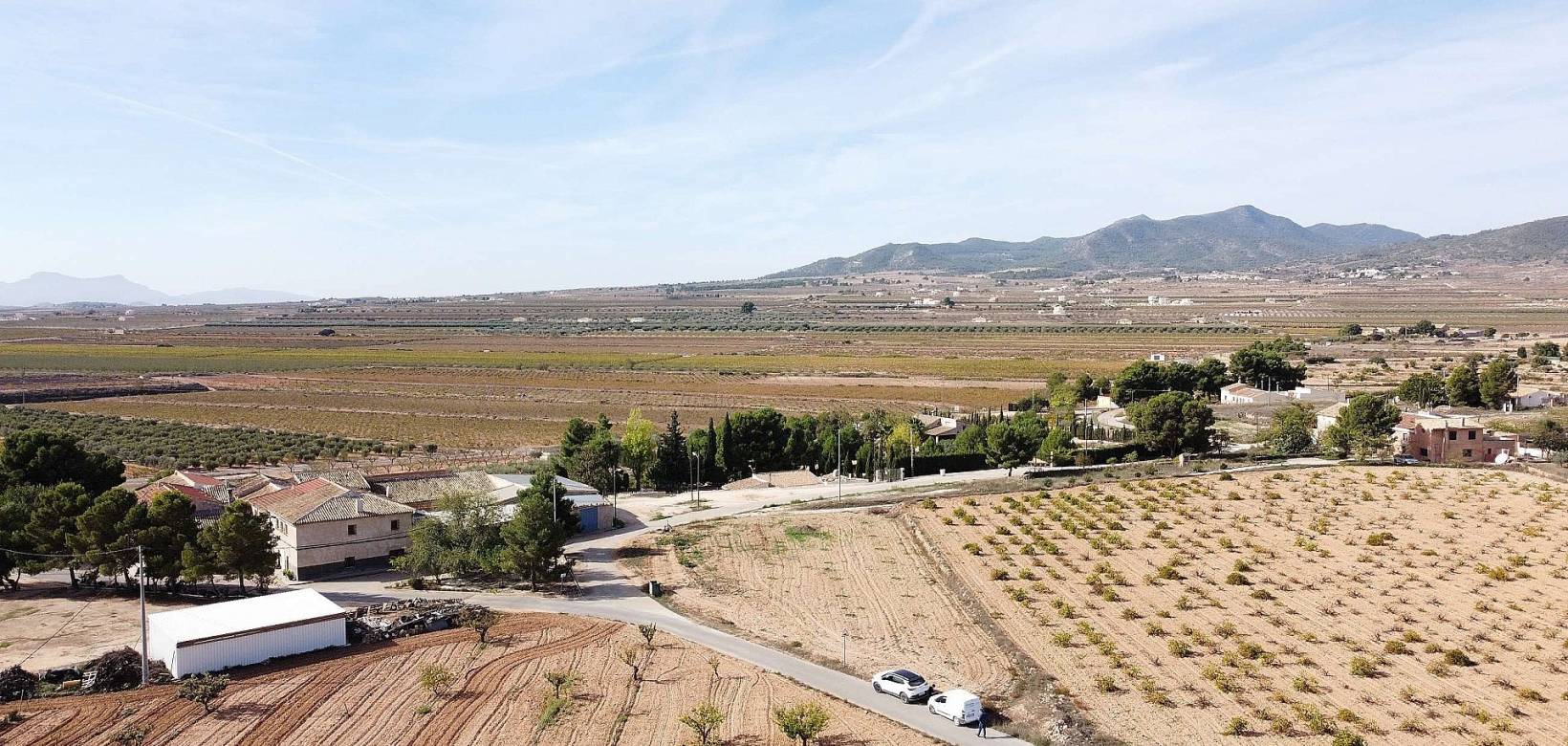 Wederverkoop - Land - Pinoso - 