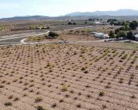 Wederverkoop - Land - Pinoso - 