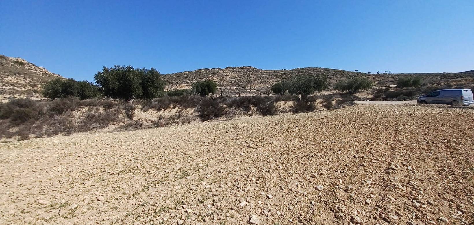 Wederverkoop - Land - Pinoso - 