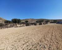 Wederverkoop - Land - Pinoso - 