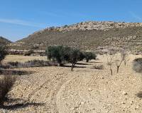 Wederverkoop - Land - Pinoso - 