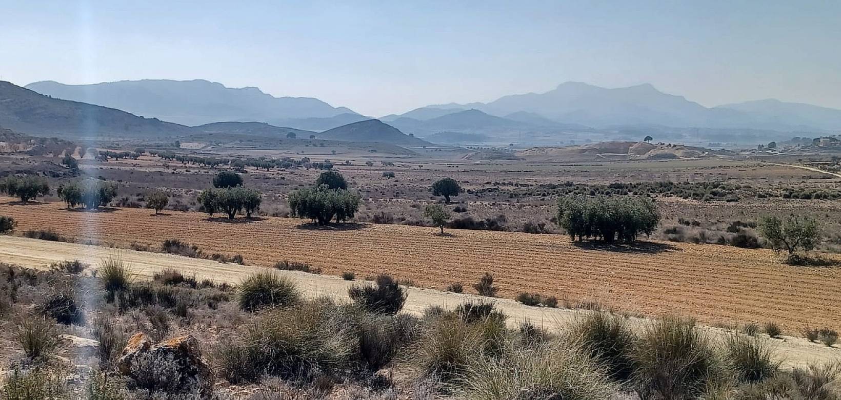 Wederverkoop - Land - Pinoso - 