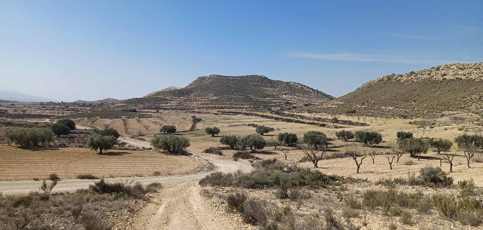 Wederverkoop - Land - Pinoso - 