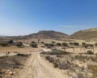 Wederverkoop - Land - Pinoso - 