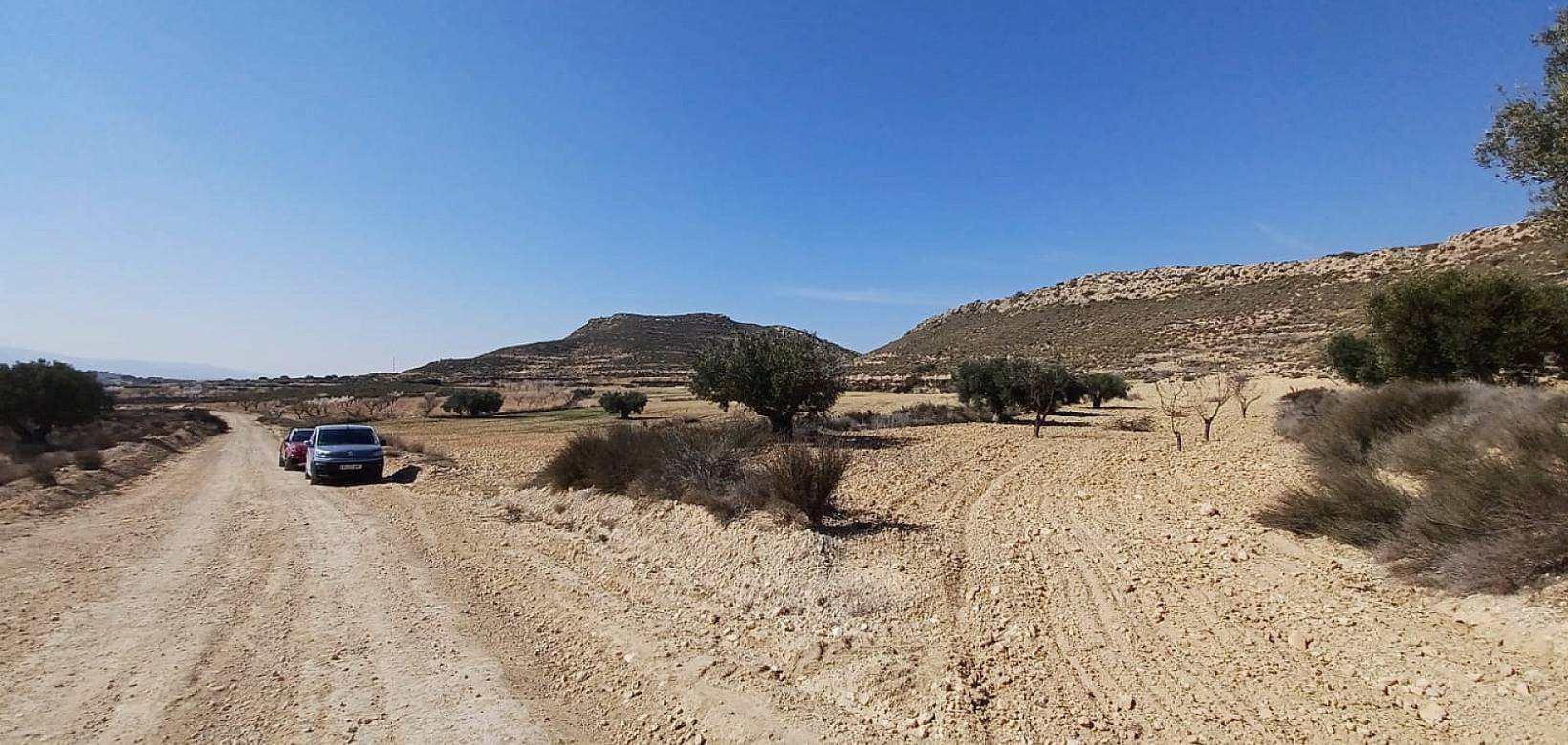 Wederverkoop - Land - Pinoso - 