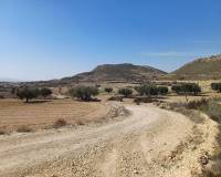 Wederverkoop - Land - Pinoso - 