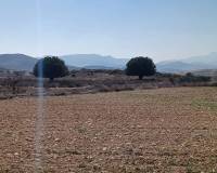Wederverkoop - Land - Pinoso - 