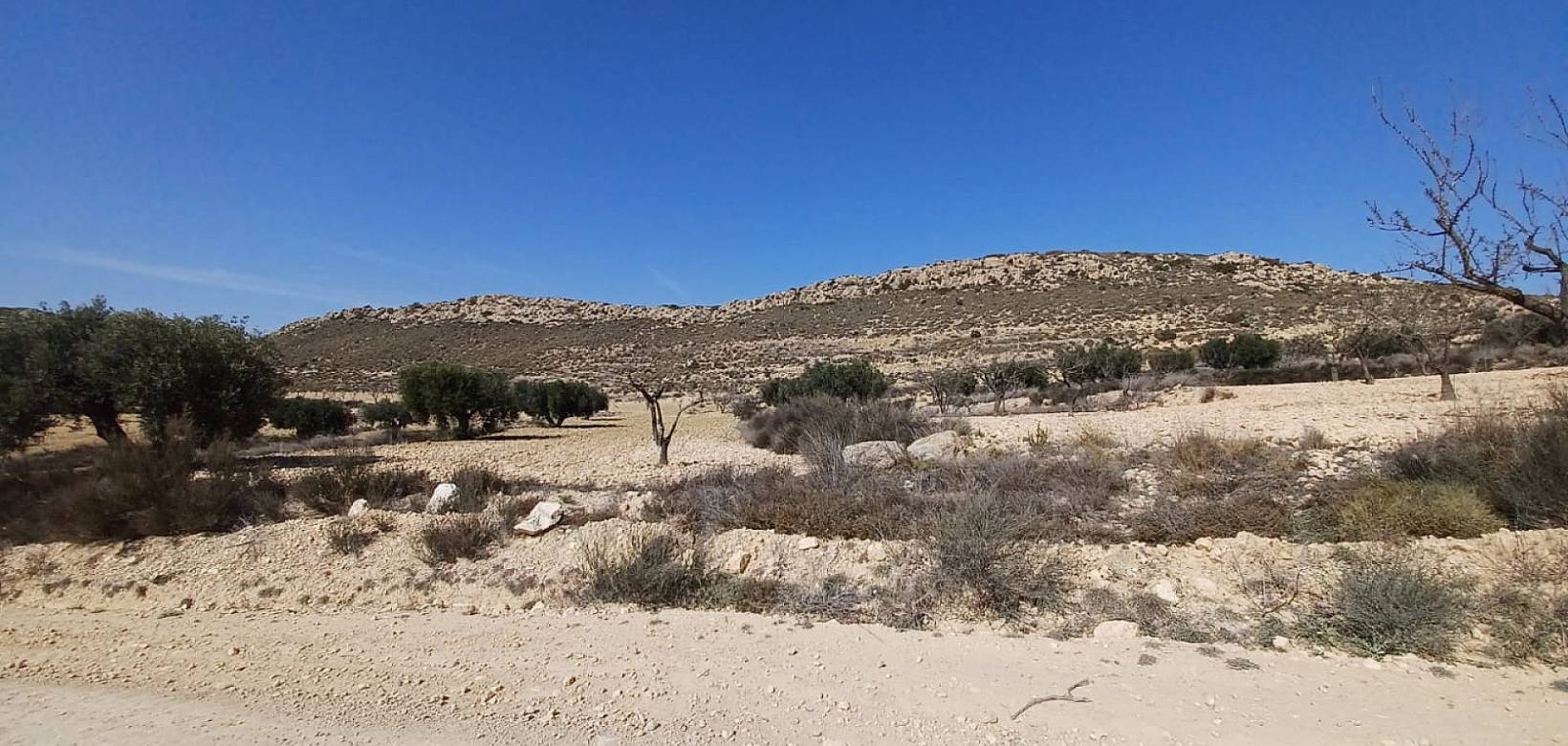 Wederverkoop - Land - Pinoso - 