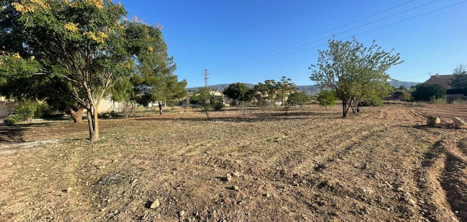 Wederverkoop - Land - Pinoso - 