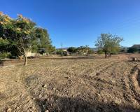 Wederverkoop - Land - Pinoso - 