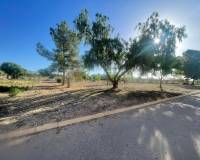 Wederverkoop - Land - Pinoso - 