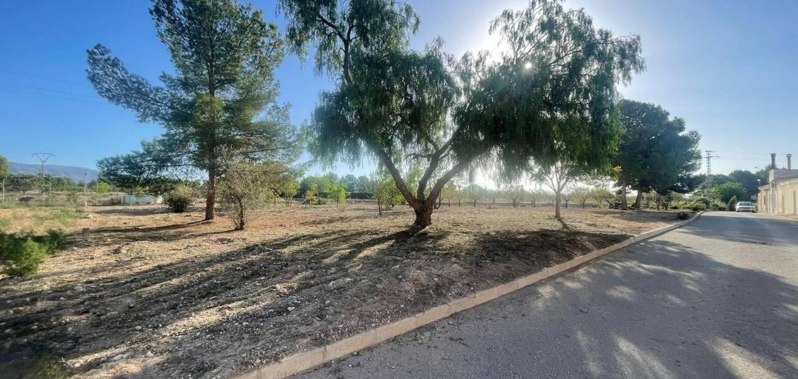 Wederverkoop - Land - Pinoso - 