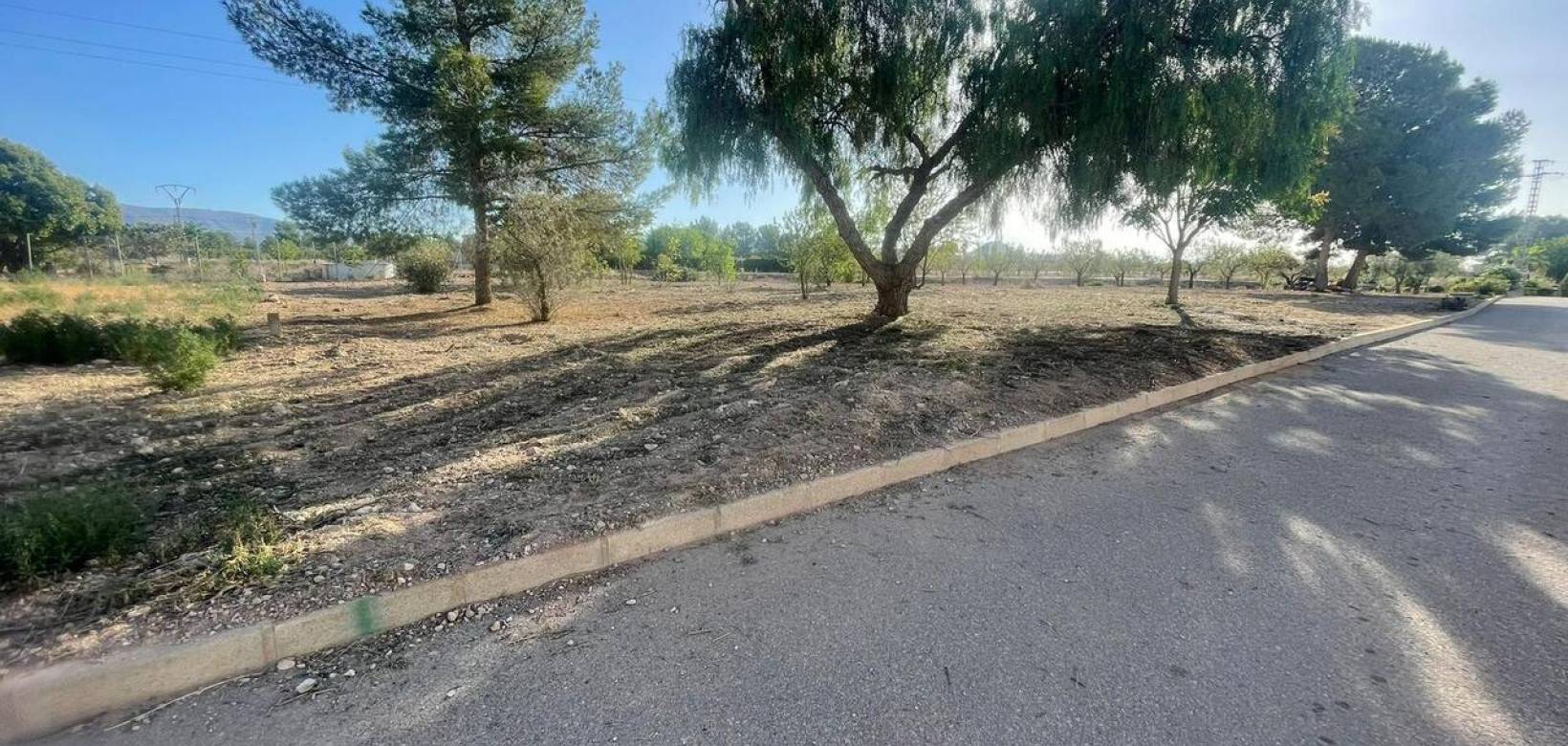 Wederverkoop - Land - Pinoso - 