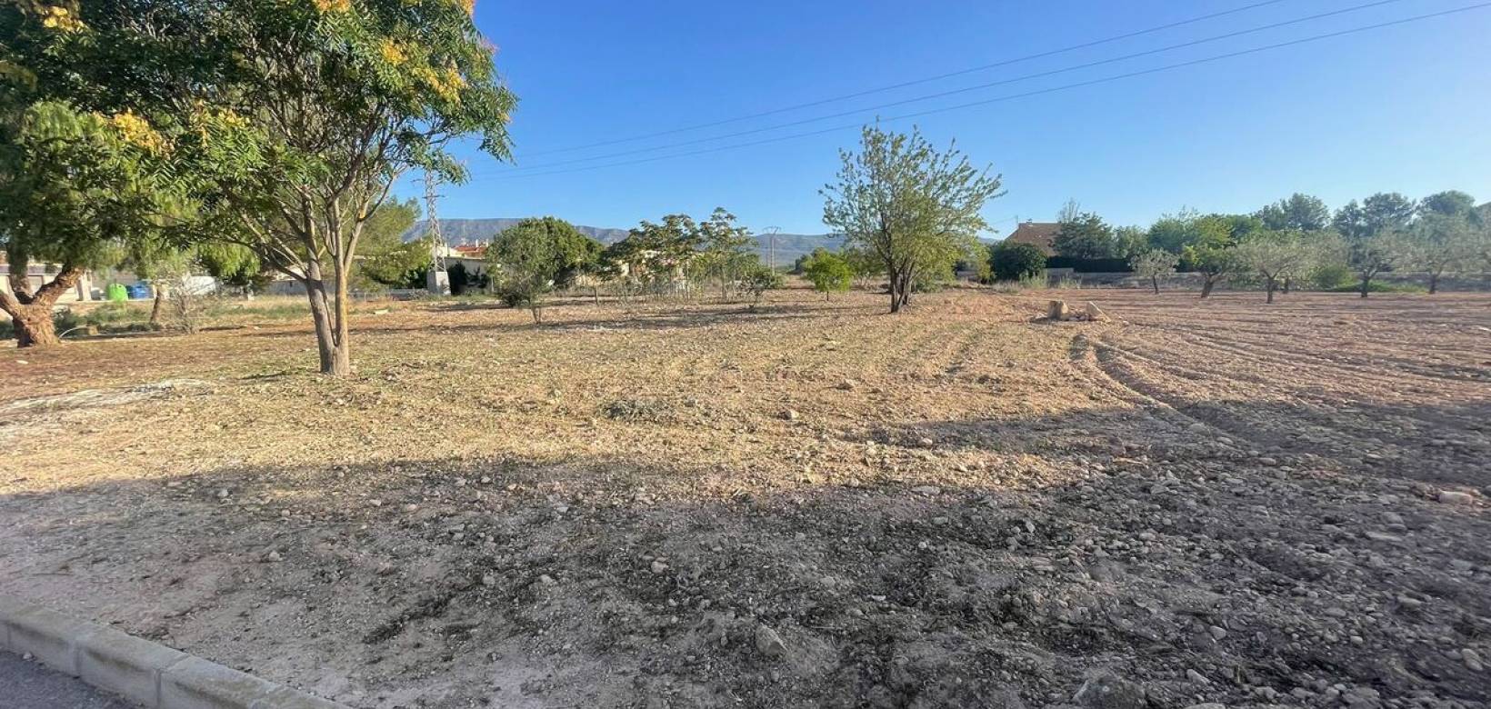 Wederverkoop - Land - Pinoso - 