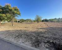 Wederverkoop - Land - Pinoso - 