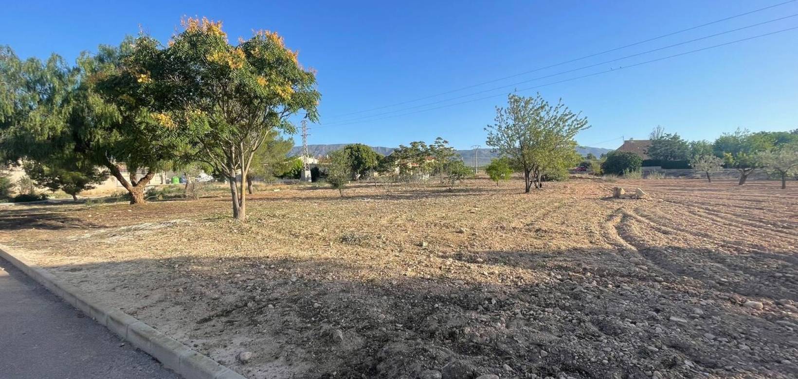 Wederverkoop - Land - Pinoso - 