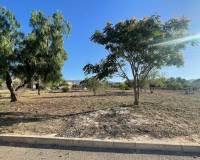 Wederverkoop - Land - Pinoso - 